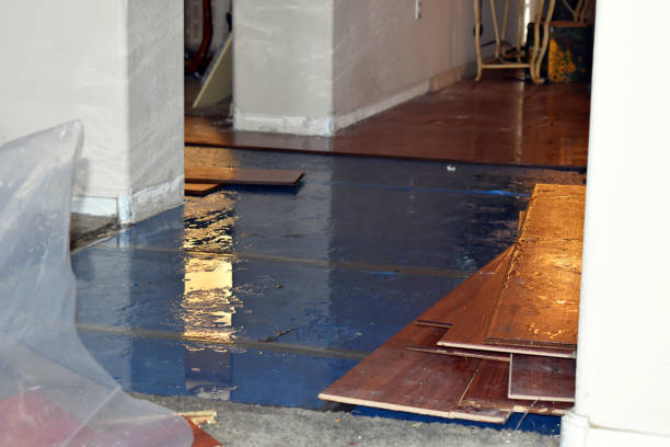 Professional Water Damage Restoration technician working in Congress, AZ